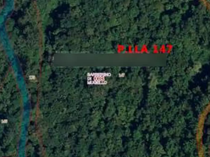 Immagine 8 di Terreno agricolo in vendita  in Località Le Caselle a Barberino Di Mugello