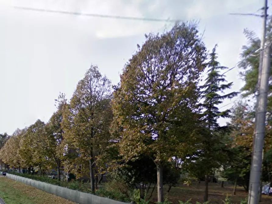 Immagine 9 di Porzione di casa in vendita  in Via Cella a Ravenna