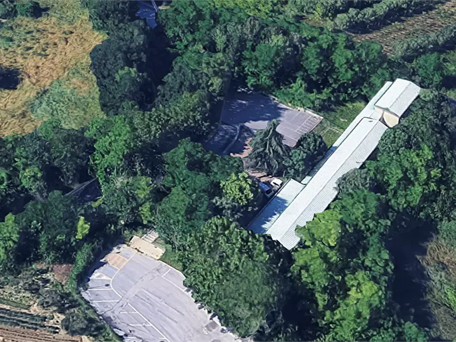 Immagine 6 di Appartamento in vendita  in Via Costa della Forma a Miglianico