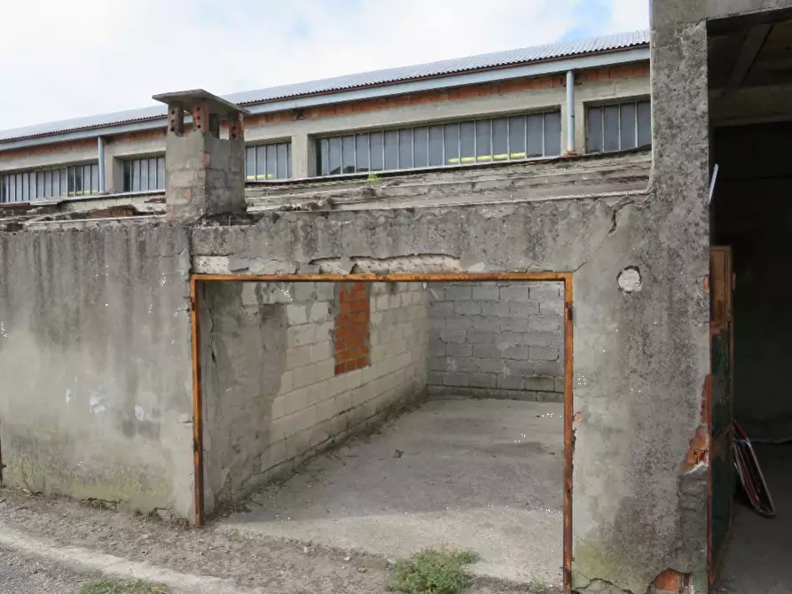 Immagine 9 di Laboratorio in vendita  in via S. Giuseppe a Sanguinetto