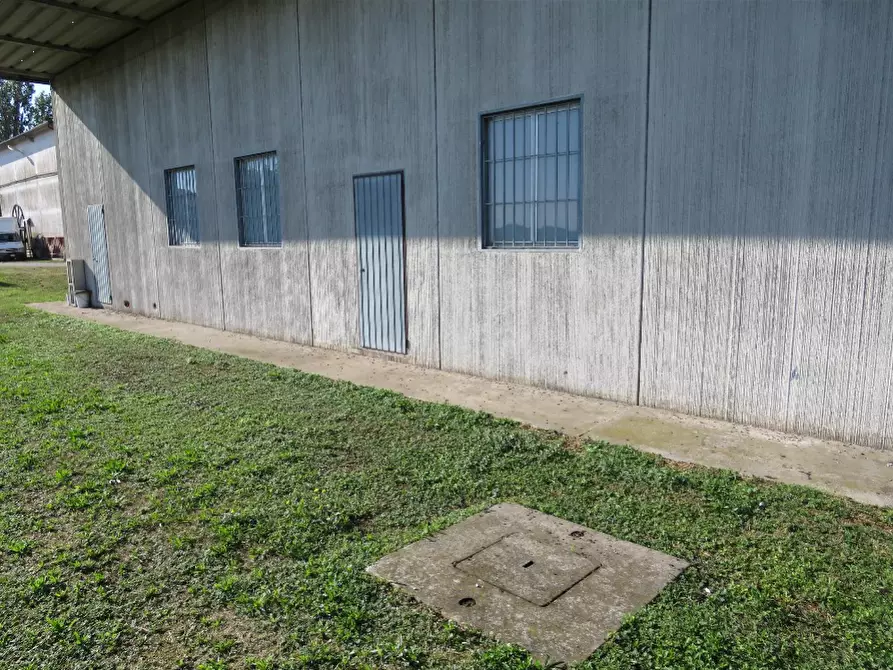 Immagine 2 di Laboratorio in vendita  in Via More a Bovolone