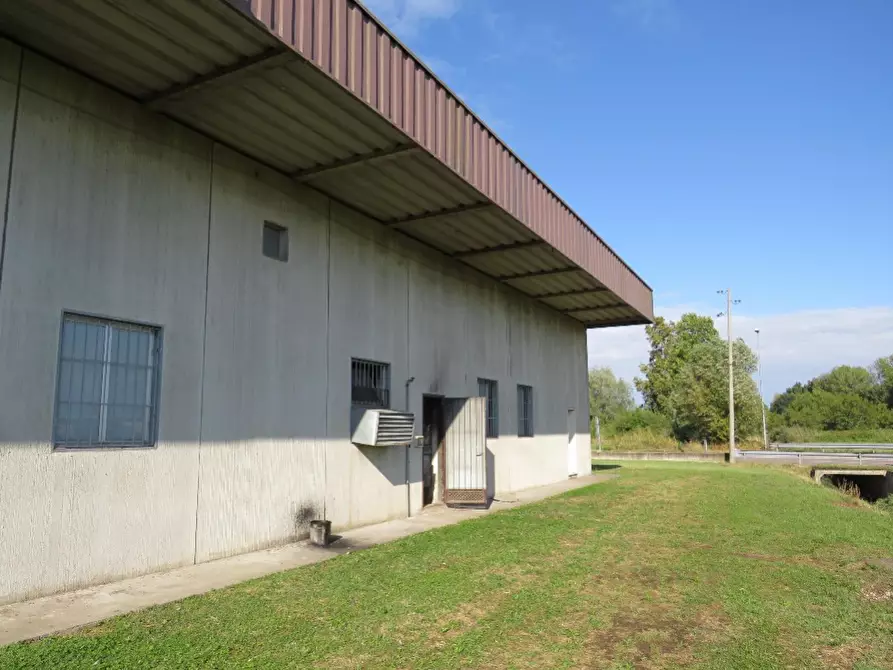 Immagine 3 di Laboratorio in vendita  in Via More a Bovolone