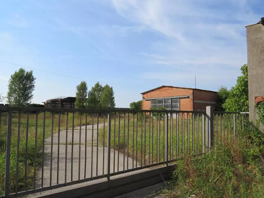 Immagine 2 di Capannone industriale in vendita  in Via Dossi a Sanguinetto