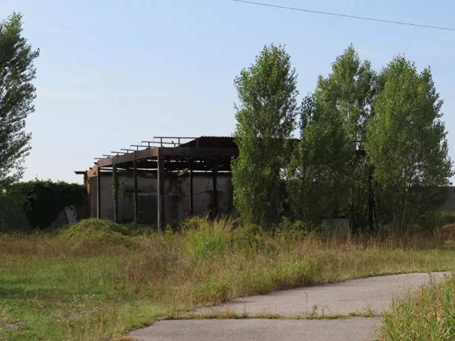 Immagine 4 di Capannone industriale in vendita  in Via Dossi a Sanguinetto
