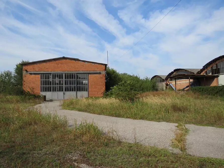 Immagine 6 di Capannone industriale in vendita  in Via Dossi a Sanguinetto
