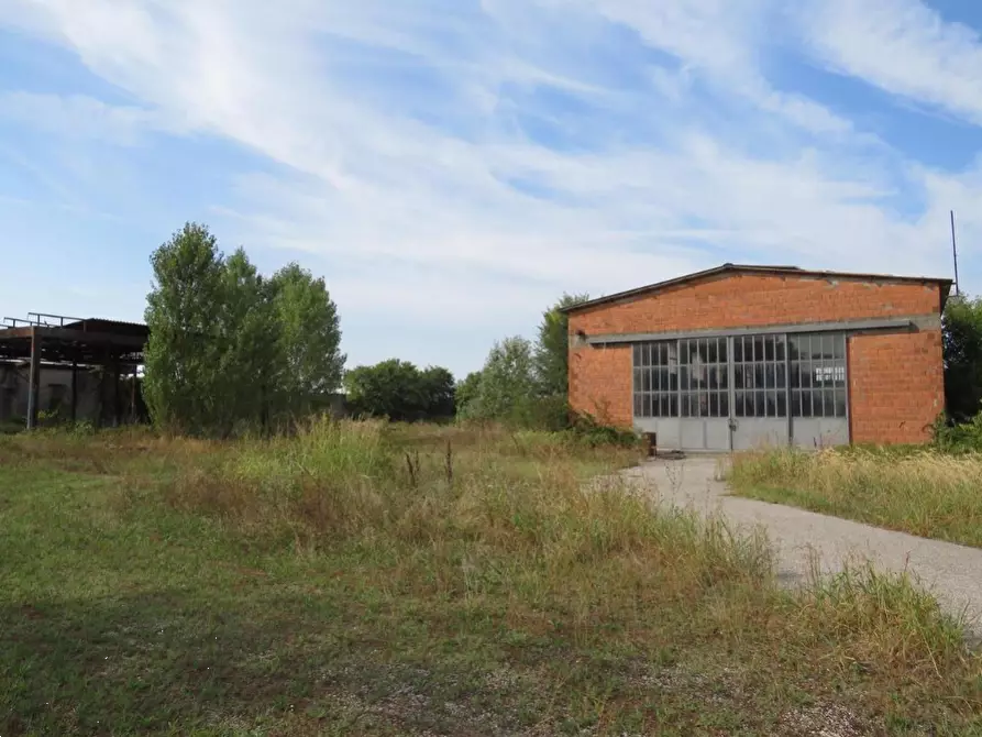 Immagine 12 di Capannone industriale in vendita  in Via Dossi a Sanguinetto