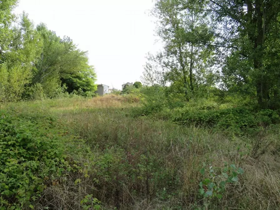 Immagine 7 di Capannone industriale in vendita  in Via Dossi a Sanguinetto