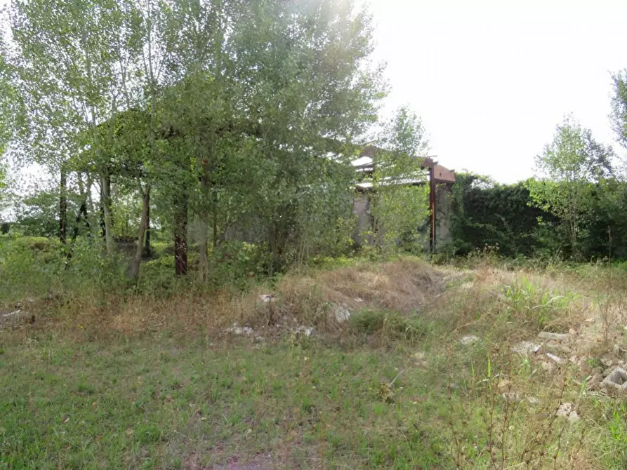 Immagine 17 di Capannone industriale in vendita  in Via Dossi a Sanguinetto