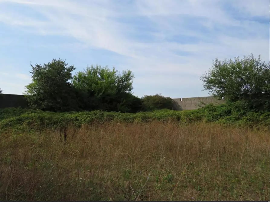 Immagine 11 di Capannone industriale in vendita  in Via Dossi a Sanguinetto