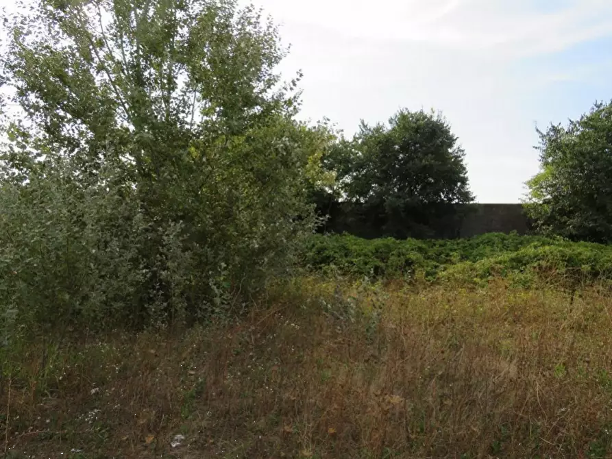 Immagine 18 di Capannone industriale in vendita  in Via Dossi a Sanguinetto