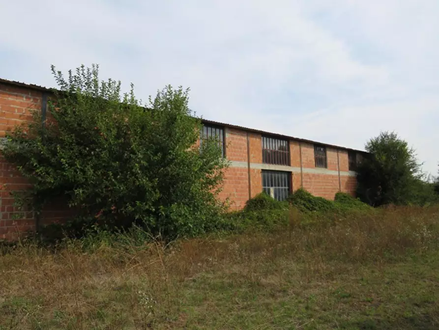 Immagine 9 di Capannone industriale in vendita  in Via Dossi a Sanguinetto