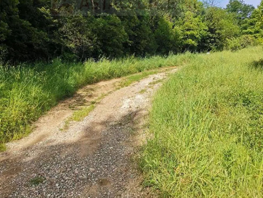 Immagine 3 di Terreno agricolo in vendita  in Via Strada Provinciale 4 Volterrana a San Casciano In Val Di Pesa