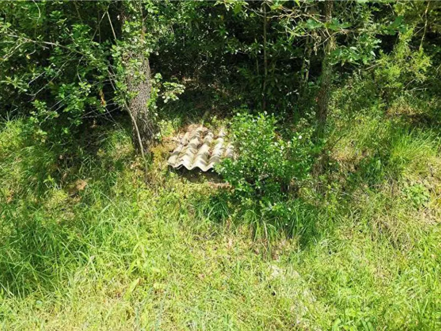 Immagine 1 di Terreno agricolo in vendita  in Via Strada Provinciale 4 Volterrana a San Casciano In Val Di Pesa