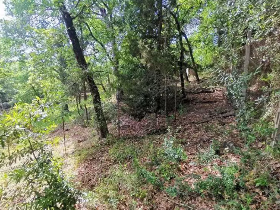 Immagine 7 di Terreno agricolo in vendita  in Via Strada Provinciale 4 Volterrana a San Casciano In Val Di Pesa