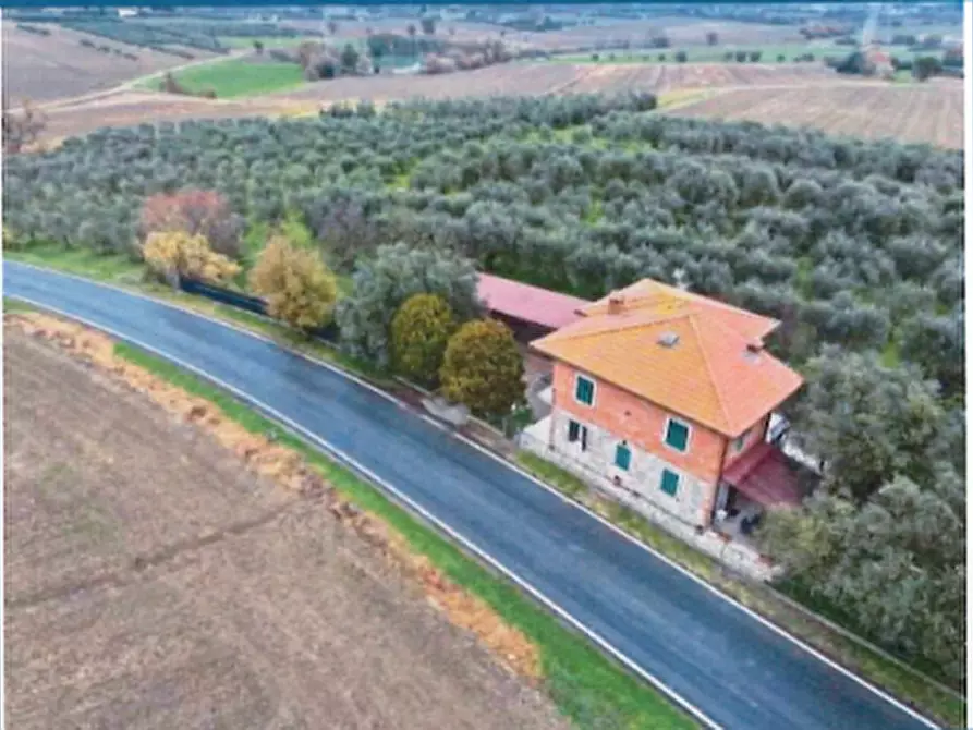 Immagine 3 di Casa indipendente in vendita  in SP304 Sanfatucchio a Castiglione Del Lago