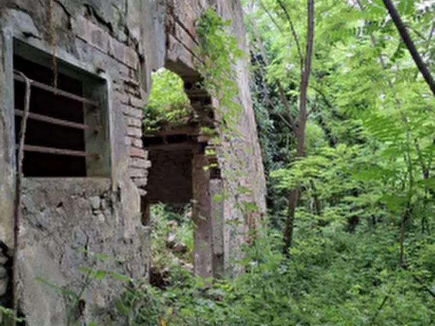 Immagine 4 di Terreno agricolo in vendita  in Via della Valle in Tessello a Cesena