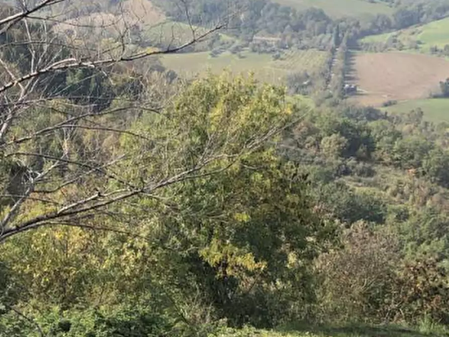 Immagine 1 di Terreno agricolo in vendita  in Via Vallino a Sogliano Al Rubicone