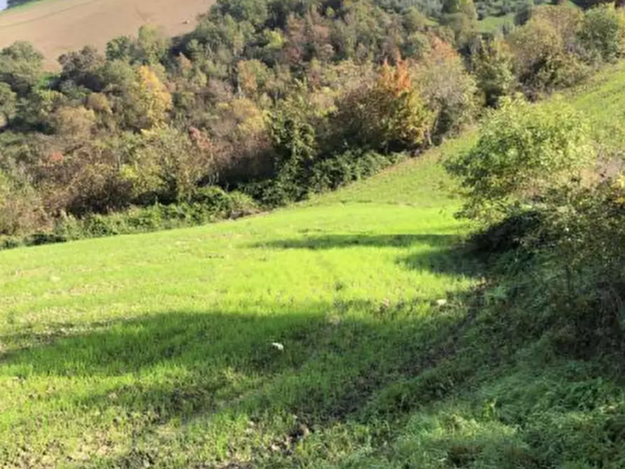 Immagine 4 di Terreno agricolo in vendita  in Via Vallino a Sogliano Al Rubicone