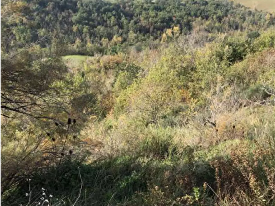 Immagine 5 di Terreno agricolo in vendita  in Via Vallino a Sogliano Al Rubicone