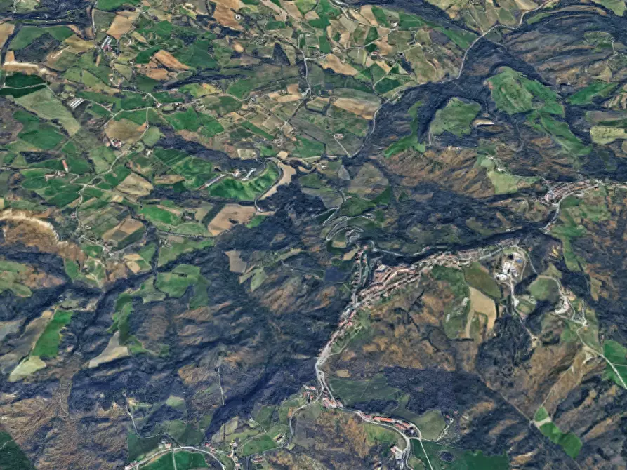 Immagine 10 di Terreno agricolo in vendita  in Via Vallino a Sogliano Al Rubicone