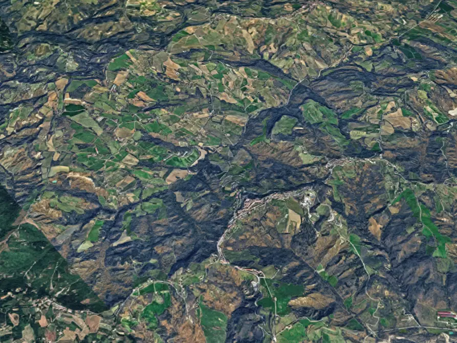 Immagine 11 di Terreno agricolo in vendita  in Via Vallino a Sogliano Al Rubicone