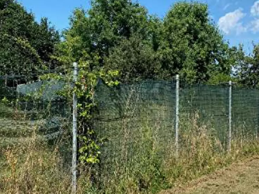 Immagine 3 di Terreno agricolo in vendita  in Via Muson a Santa Maria Di Sala