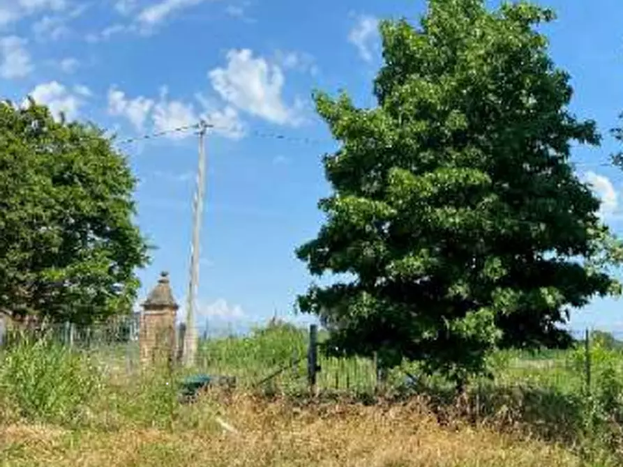Immagine 4 di Terreno agricolo in vendita  in Via Muson a Santa Maria Di Sala