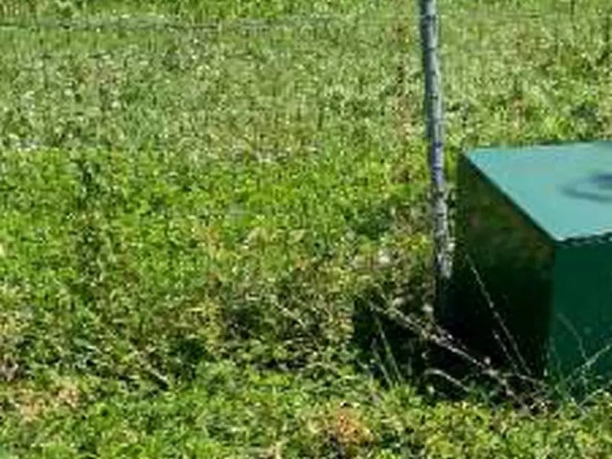 Immagine 5 di Terreno agricolo in vendita  in Via Muson a Santa Maria Di Sala