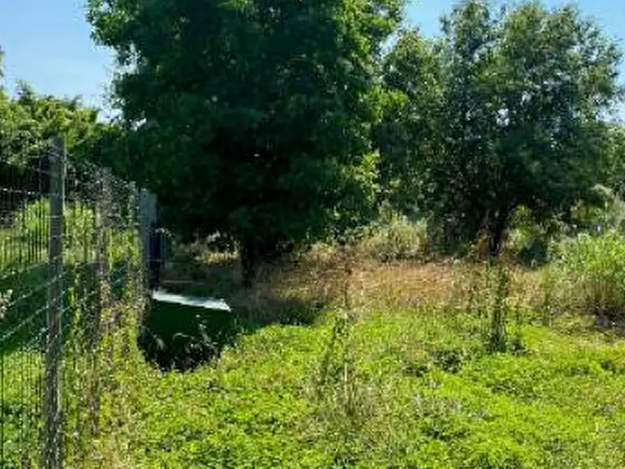 Immagine 6 di Terreno agricolo in vendita  in Via Muson a Santa Maria Di Sala