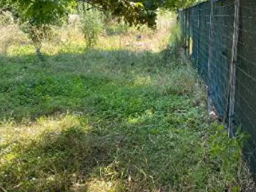 Immagine 7 di Terreno agricolo in vendita  in Via Muson a Santa Maria Di Sala