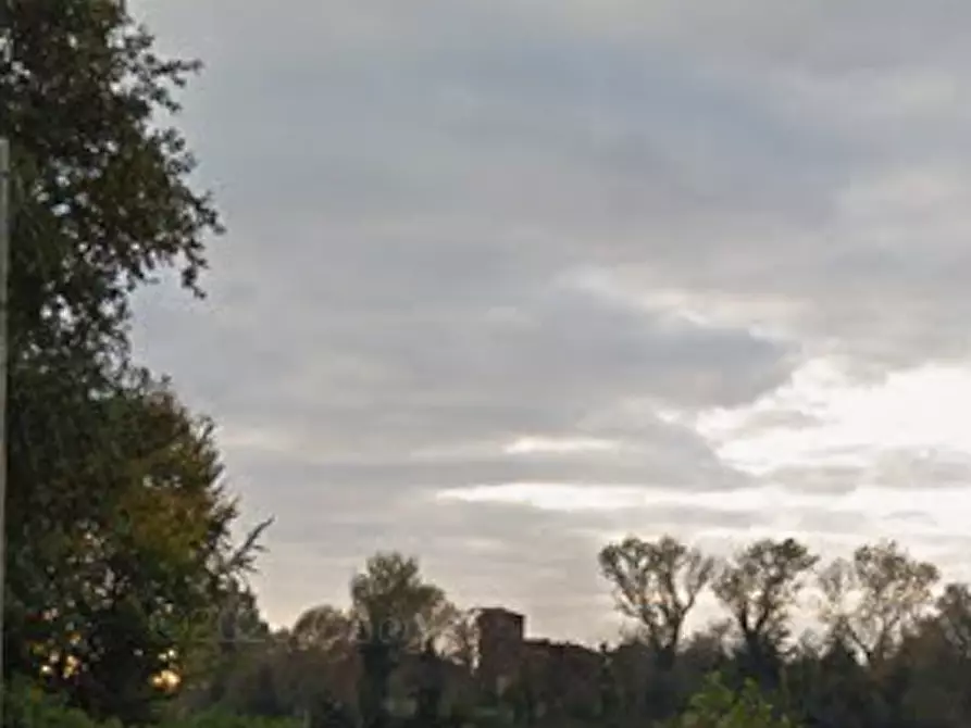 Immagine 9 di Terreno agricolo in vendita  in Via Muson a Santa Maria Di Sala