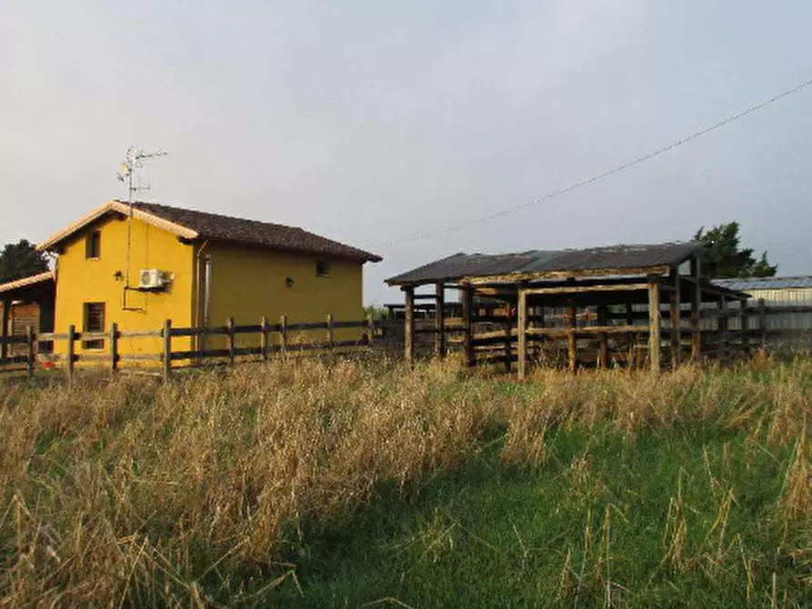 Immagine 2 di Magazzino in vendita  in Via dell'Ulivo Ginnetti a Velletri