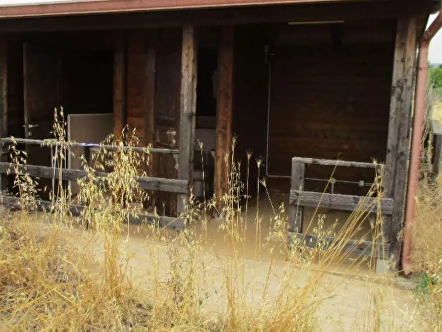 Immagine 3 di Magazzino in vendita  in Via dell'Ulivo Ginnetti a Velletri