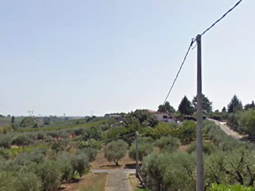 Immagine 4 di Magazzino in vendita  in Via dell'Ulivo Ginnetti a Velletri