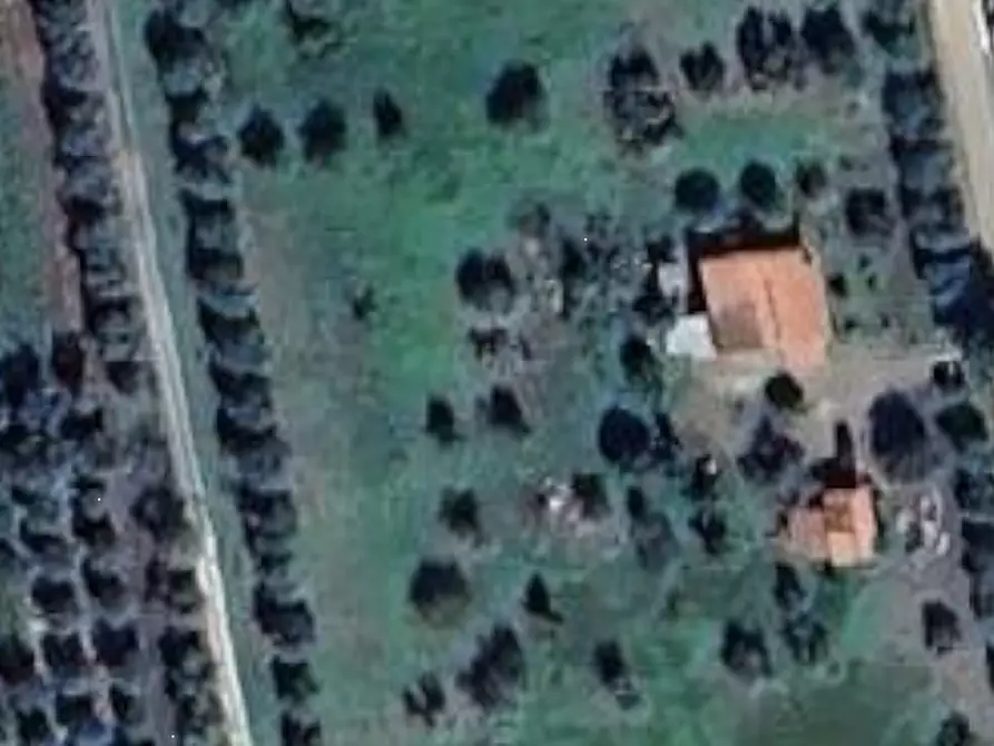 Immagine 6 di Magazzino in vendita  in Via dell'Ulivo Ginnetti a Velletri