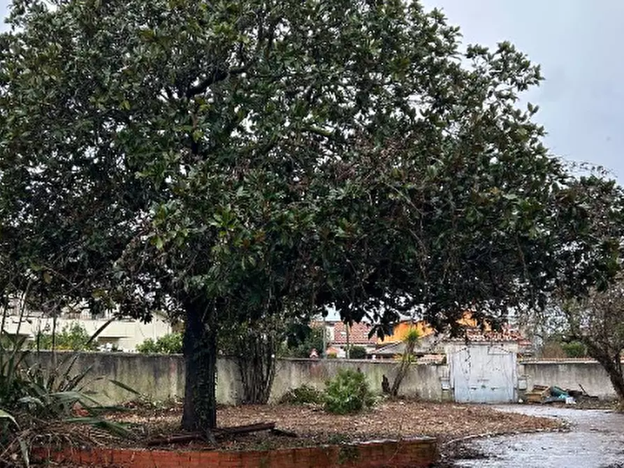 Immagine 5 di Villa in vendita  in Via Venezia a Ardea