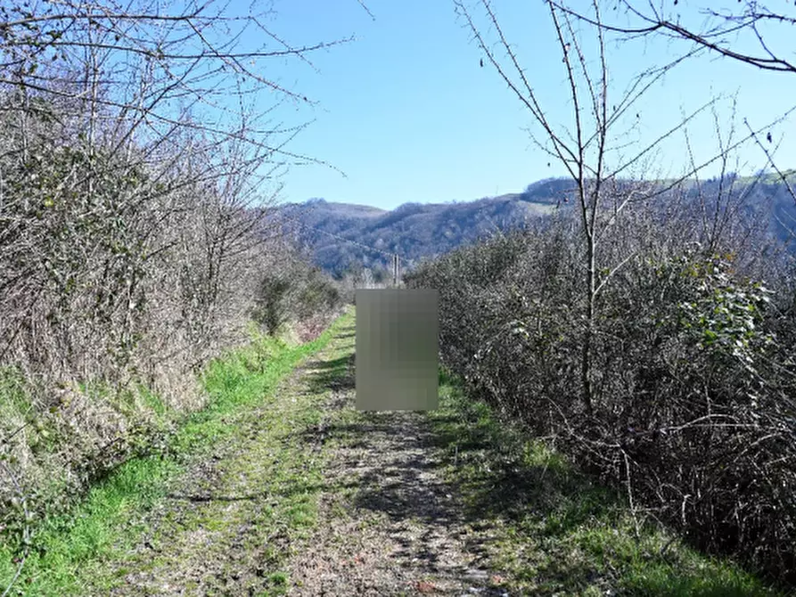 Immagine 9 di Casa indipendente in vendita  in Via Zena a Pianoro