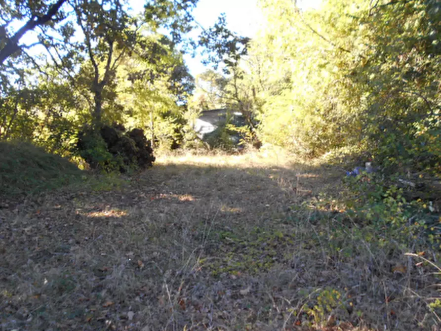 Immagine 4 di Capannone industriale in vendita  in Via Goccianello a Imola