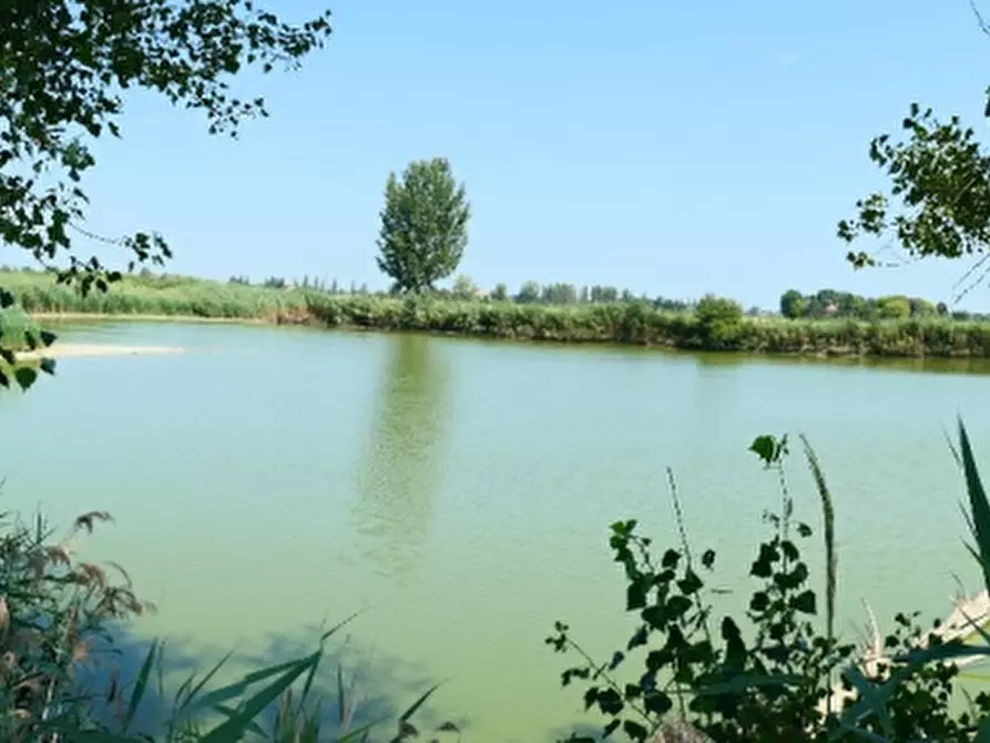 Immagine 4 di Azienda agricola in vendita  in Via Sarasina  a San Giovanni In Persiceto