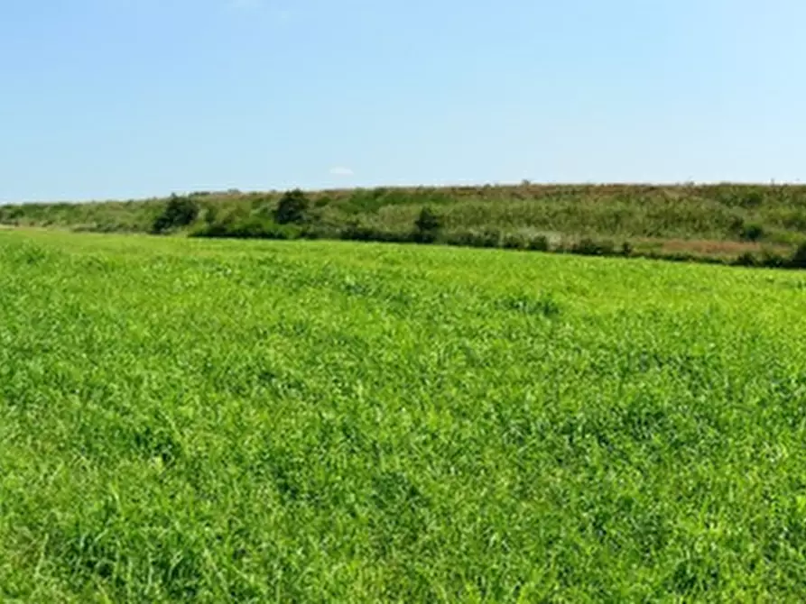 Immagine 10 di Azienda agricola in vendita  in Via Sarasina  a San Giovanni In Persiceto