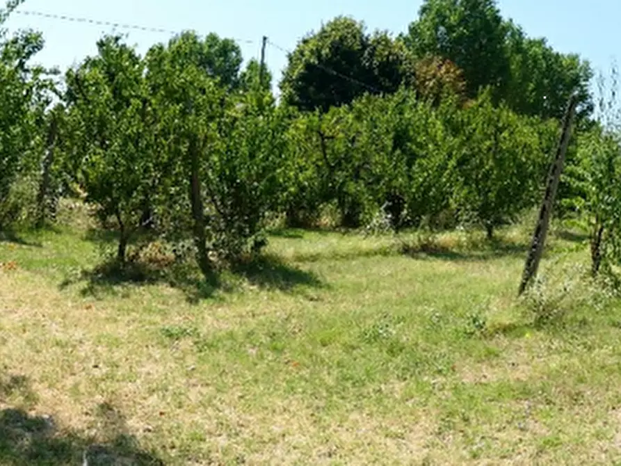 Immagine 11 di Azienda agricola in vendita  in Via Sarasina  a San Giovanni In Persiceto
