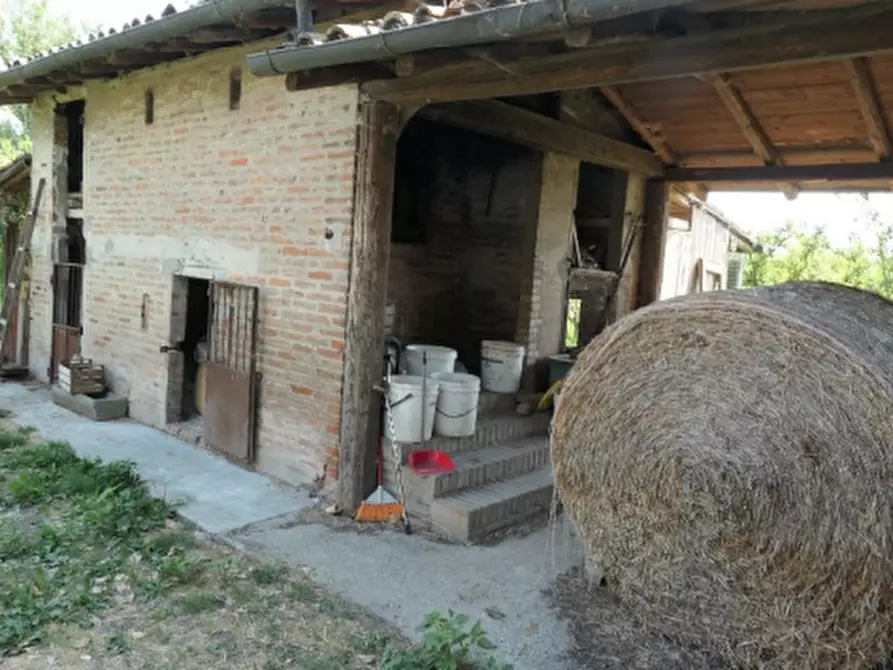 Immagine 17 di Azienda agricola in vendita  in Via Sarasina  a San Giovanni In Persiceto