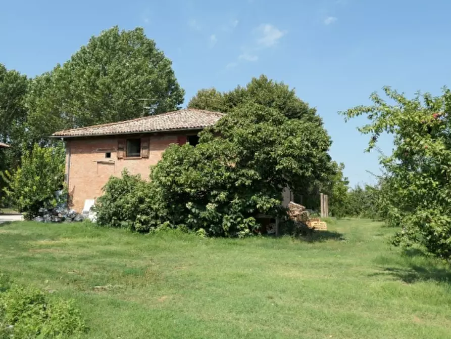 Immagine 1 di Azienda agricola in vendita  in Via Sarasina  a San Giovanni In Persiceto