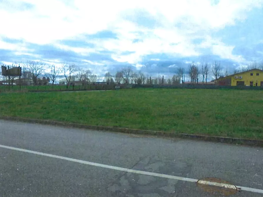 Immagine 3 di Terreno edificabile in vendita  in Via Provinciale a Riva Del Po