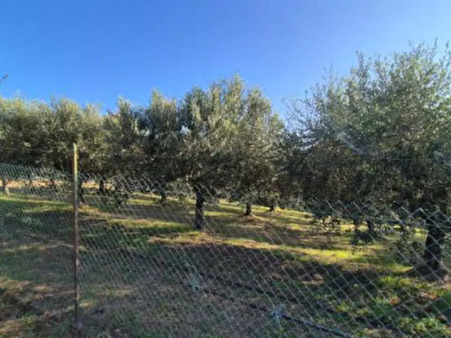 Immagine 10 di Casa indipendente in vendita  in Via Grotte  a Sarego