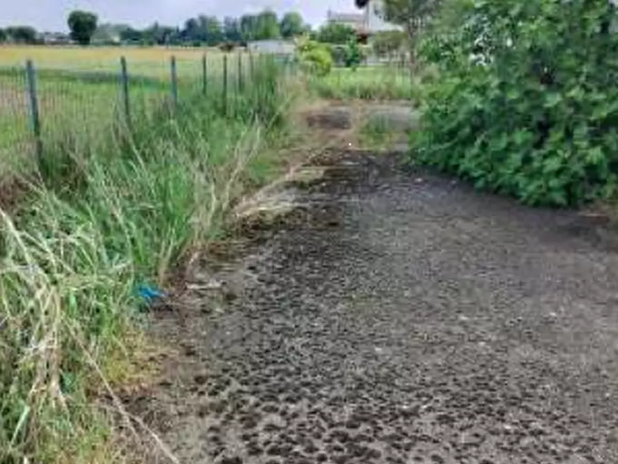 Immagine 7 di Villa in vendita  in Via Giacomo Leopardi a Giacciano Con Baruchella