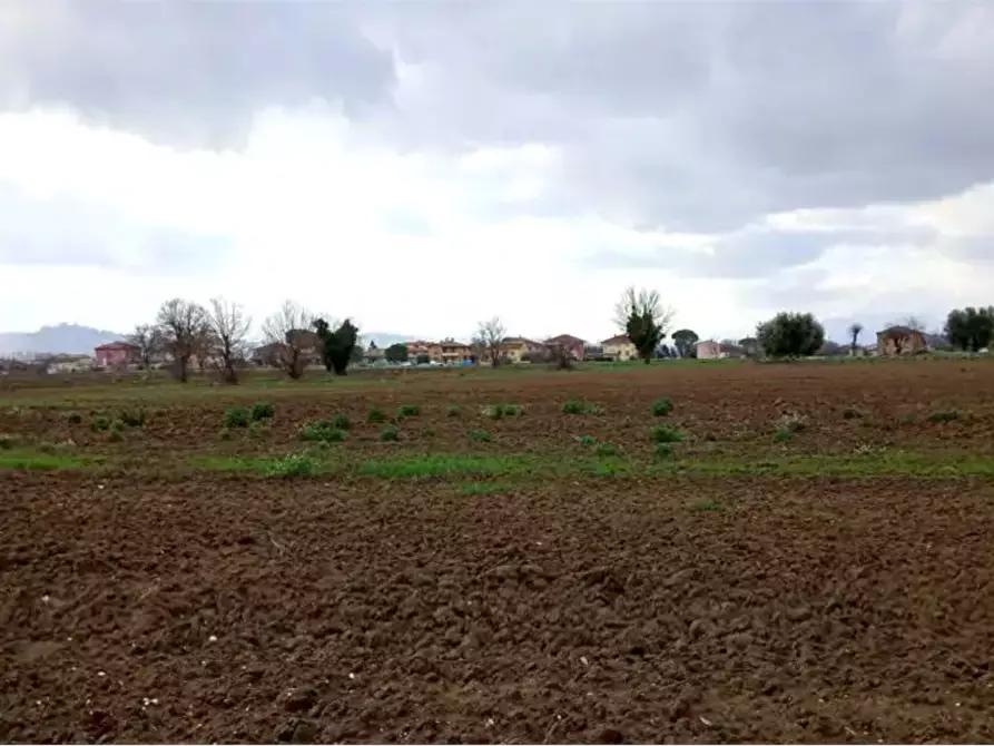 Immagine 4 di Terreno edificabile in vendita  in Via della Liberazione a Cartoceto