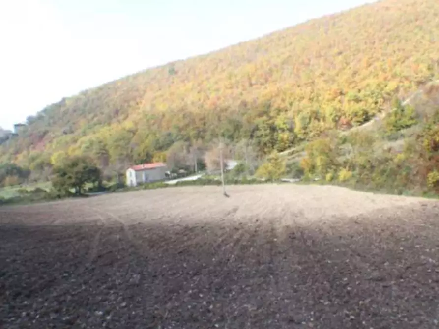 Immagine 1 di Terreno agricolo in vendita  in Località Campodarco a Nocera Umbra