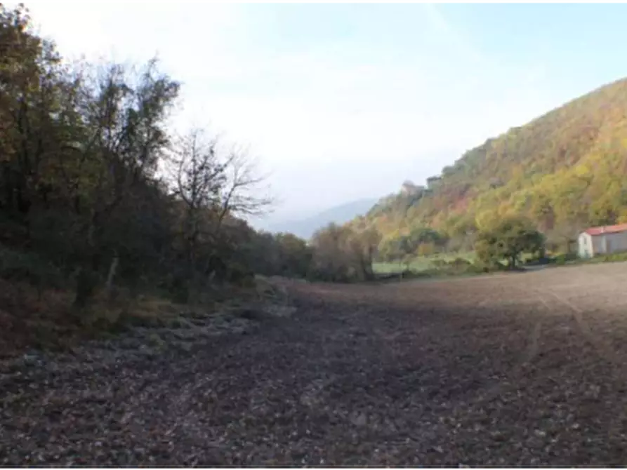 Immagine 2 di Terreno agricolo in vendita  in Località Campodarco a Nocera Umbra