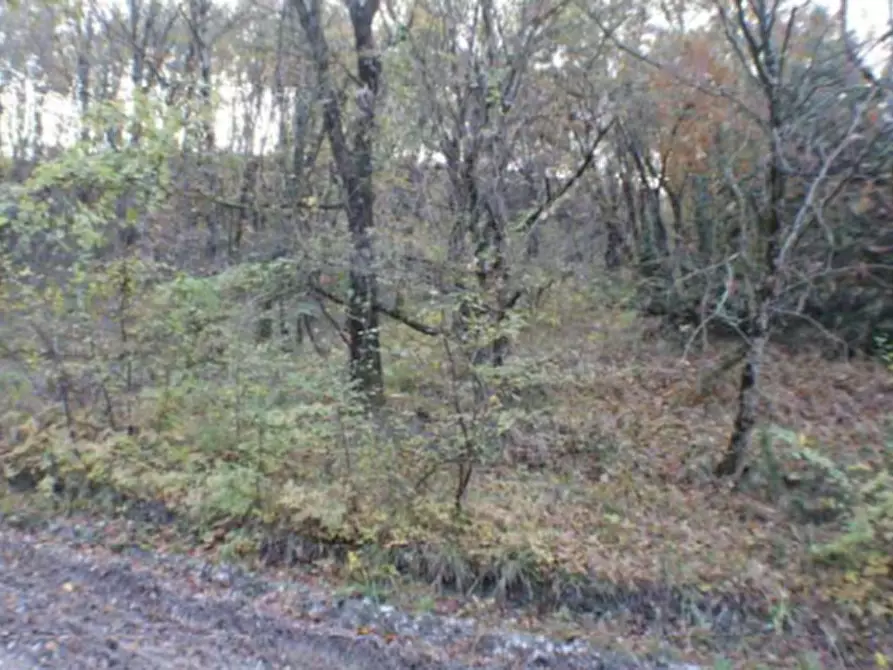Immagine 3 di Terreno agricolo in vendita  in Località Campodarco a Nocera Umbra